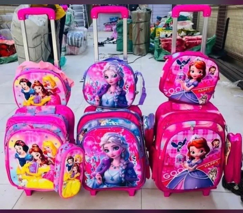Mochilas de roda